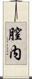 膣内 Scroll