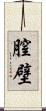 膣壁 Scroll