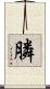 膦 Scroll