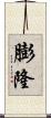 膨隆 Scroll