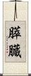 膵臓 Scroll