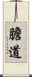 膽道 Scroll