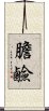 膽鹼 Scroll