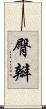臀瓣 Scroll