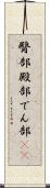 臀部 Scroll