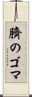 臍のゴマ Scroll