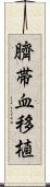 臍帯血移植 Scroll