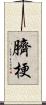 臍梗 Scroll