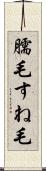 臑毛 Scroll