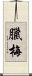 臘梅 Scroll