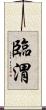 臨渭 Scroll