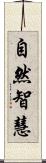 自然智慧 Scroll