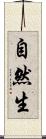 自然生 Scroll