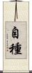 自種 Scroll