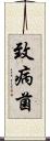 致病菌 Scroll