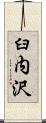 臼内沢 Scroll