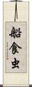 船食虫 Scroll