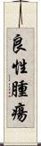 良性腫瘍 Scroll