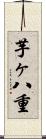 芋ヶ八重 Scroll