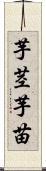 芋茎 Scroll