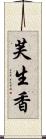 芙生香 Scroll