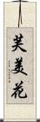 芙美花 Scroll