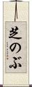 芝のぶ Scroll