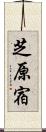 芝原宿 Scroll