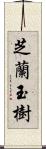 芝蘭玉樹 Scroll