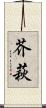 芥萩 Scroll