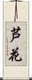 芦花 Scroll