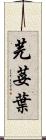 芫荽葉 Scroll