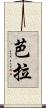 芭拉 Scroll