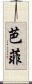 芭菲 Scroll