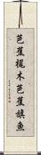芭蕉梶木 Scroll