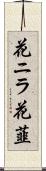 花ニラ Scroll