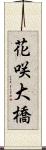 花咲大橋 Scroll
