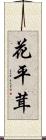 花平茸 Scroll