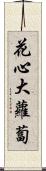 花心大蘿蔔 Scroll