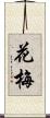 花梅 Scroll