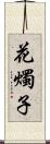 花燭子 Scroll