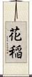 花稲 Scroll