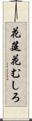 花筵 Scroll