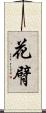 花臂 Scroll