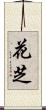 花芝 Scroll