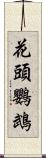 花頭鸚鵡 Scroll