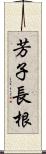 芳子長根 Scroll