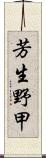 芳生野甲 Scroll