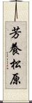 芳養松原 Scroll