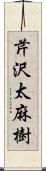 芹沢太麻樹 Scroll